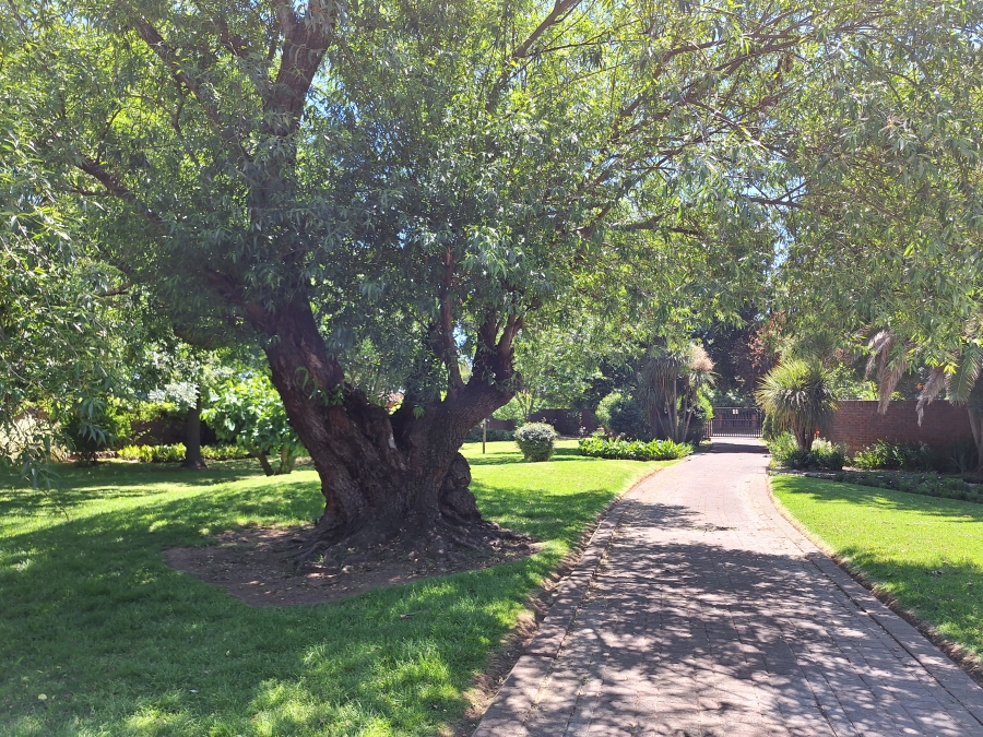 3 Bedroom Property for Sale in Vrede Free State